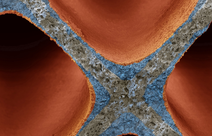 Microscopic cross-section of an automotive catalyst structure – orange honeycomb channels coated with a blue-grey porous active layer.